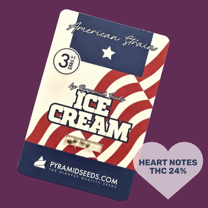 Ice Cream – американская генетика с высоким ТГК | Pyramid Seeds