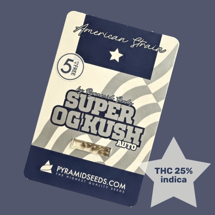 Auto Super OG Kush - Автоцвет с высоким уровнем ТГК | Pyramid Seeds