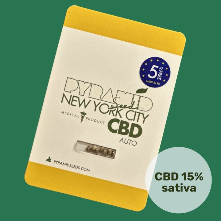 Auto New York City CBD – сатива с КБД до 15% | Pyramid Seeds