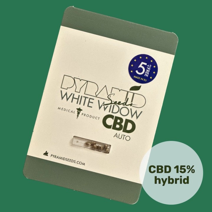 Auto White Widow CBD - медицинский сорт - анти-стресс | Pyramid Seeds