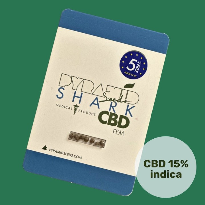 Shark CBD – компактный КБД-сорт | Pyramid Seeds