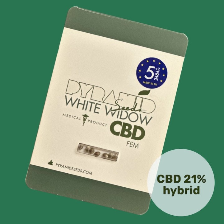 White Widow CBD – легендарный сорт с КБД до 21% | Pyramid Seeds