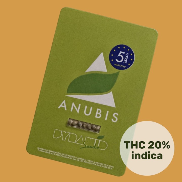 Anubis - Темная сторона силы | Pyramid seeds