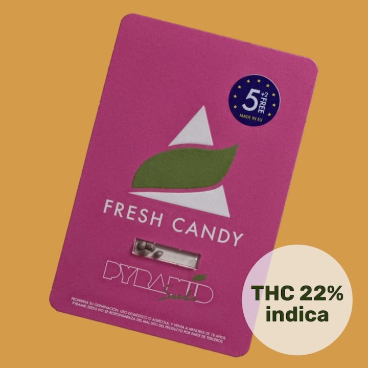Fresh Candy – Сладкая революция в мире каннабиса! | Pyramid seeds