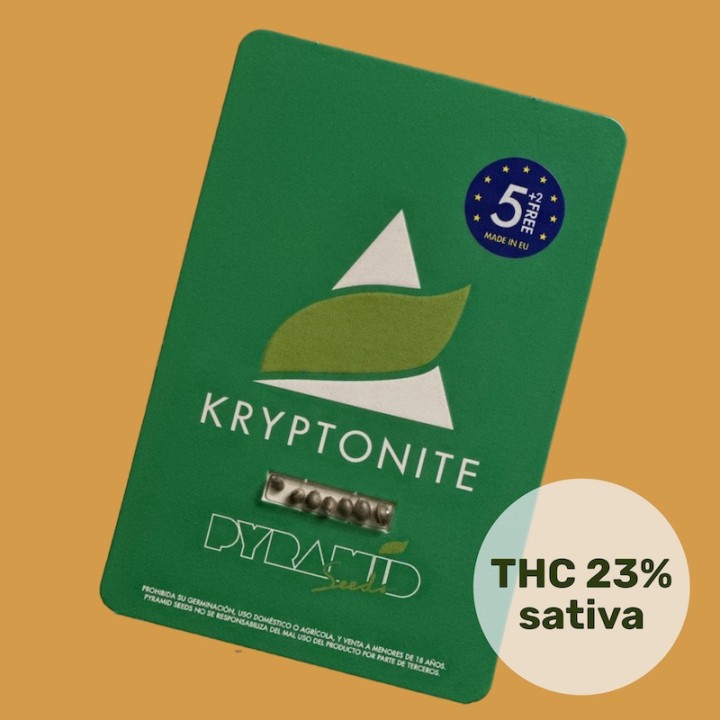 Kryptonite - самая быстрая сатива на планете! | Pyramid Seeds