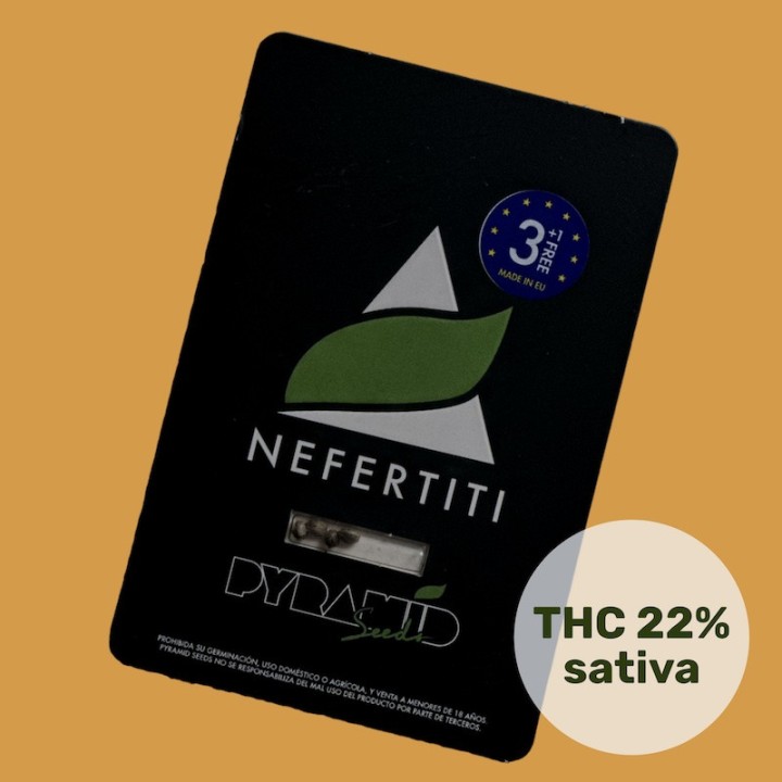 Nefertiti - чемпионка, королева каннабиса | Pyramid Seeds