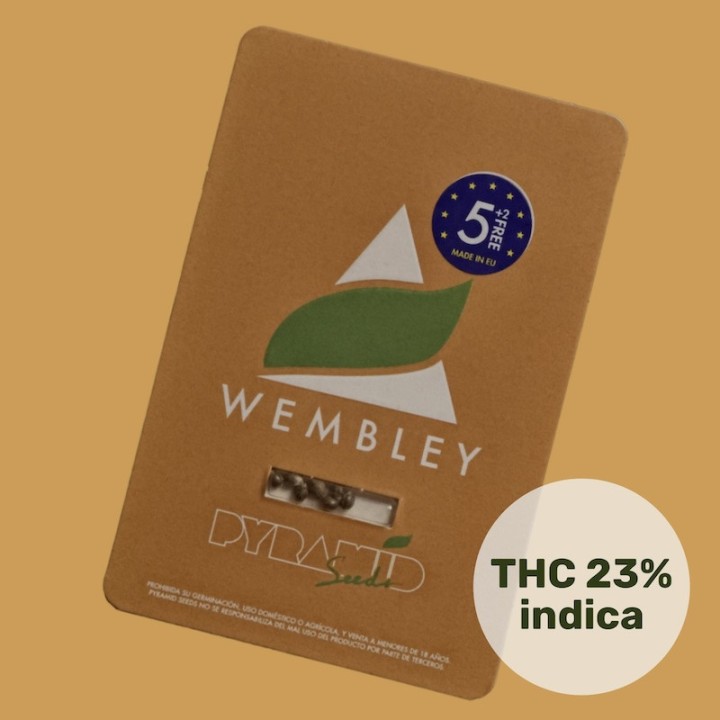 Wembley - Сладкий аромат жвачки и мощь АК-47 | Pyramid Seeds
