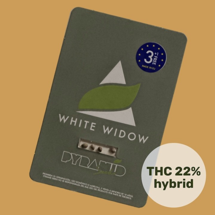 White Widow - Оригинальный сорт премиум-класса | Pyramid Seeds