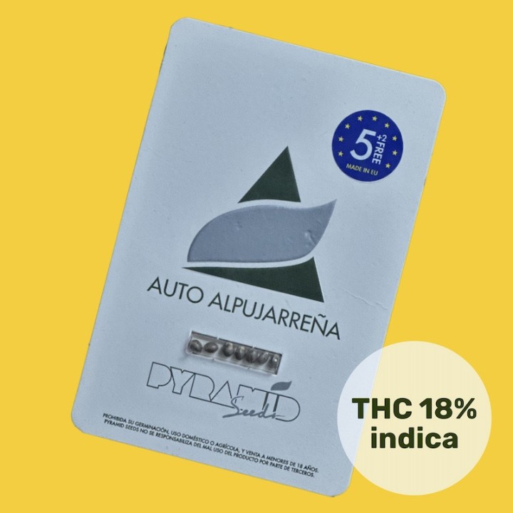 Auto Alpujarreña – неприхотливый сорт каннабиса | Pyramid Seeds