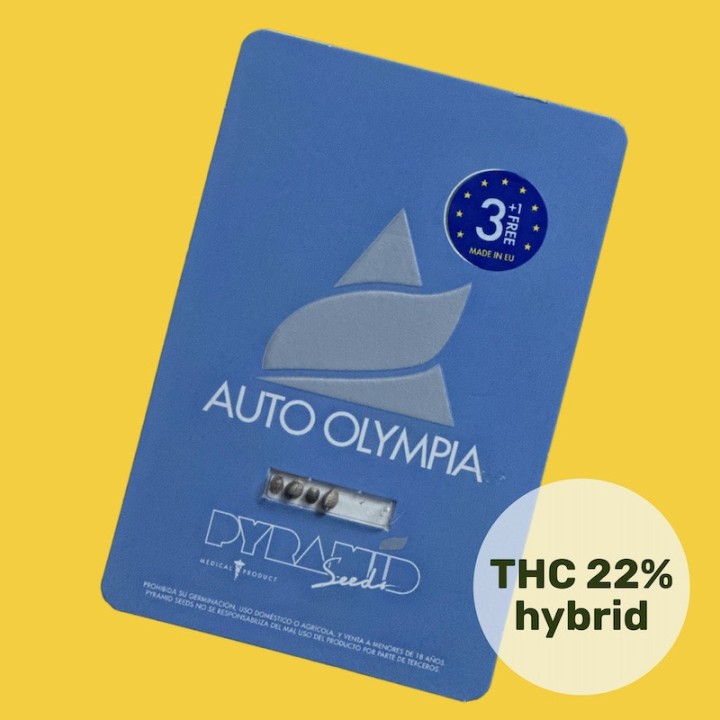 Auto Olympia - сбалансированный гибрид для новичков | Pyramid Seeds