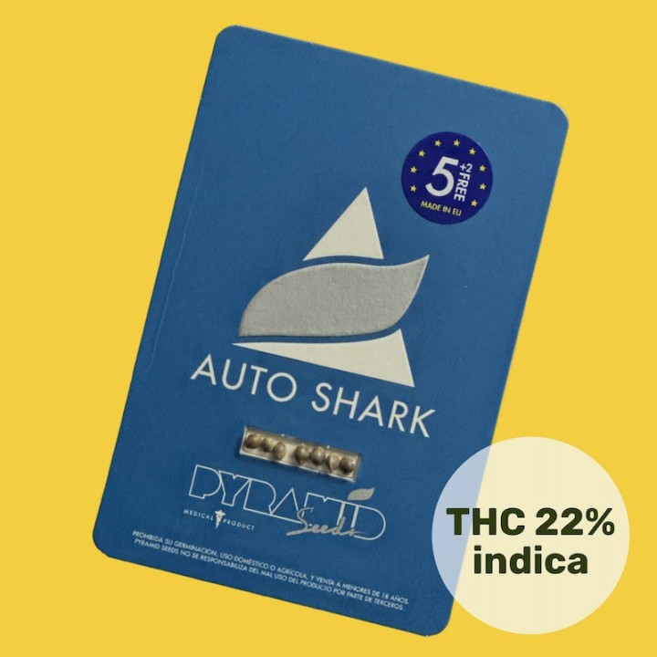 Auto Shark - Современная интерпретация классики | Pyramid Seeds