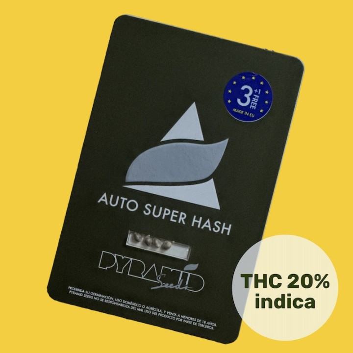 Auto Super Hash - Смолистый автоцвет с мощным эффектом | Pyramid Seeds