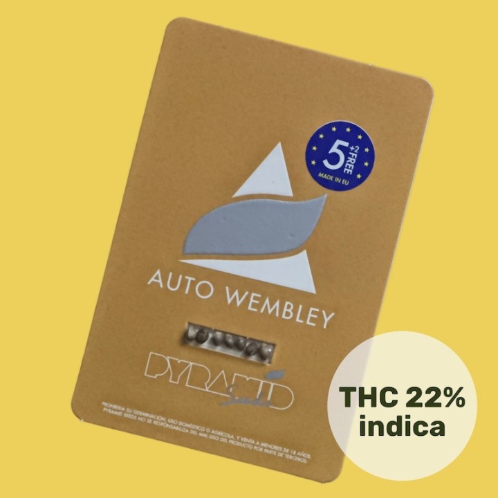 Auto Wembley - Уникальный автоцвет с ароматом жвачки | Pyramid Seeds