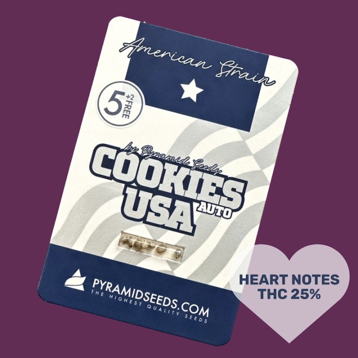 Auto Cookies USA – классический американский сорт | Pyramid Seeds